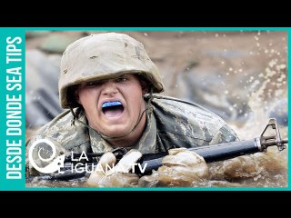 ¡La guerra en Afganistán es una mentira! El discurso sin tapujos de un europarlamentario irlandés