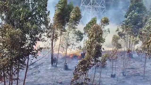 Bombeiros combatem grande incêndio ambiental às margens do Trevo Cataratas