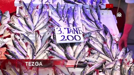 Trabzon'da balıkçı tezgahlarında palamut bolluğu yaşandı