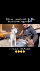 Who remembers this!.. Miss you Rupert! #huskylife