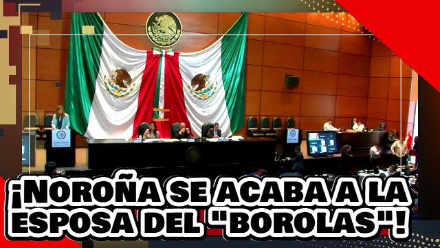 ¡VE! ¡Noroña se acaba brutalmente a la esposa del borolas, por atacar la reforma judicial de AMLO!