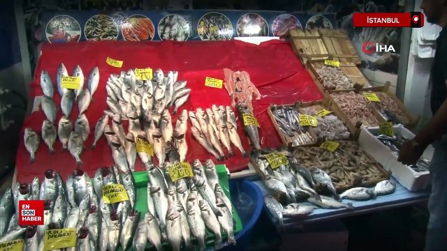 İstanbul'da av sezonu açıldı: Palamut yoğunluğu yaşanıyor