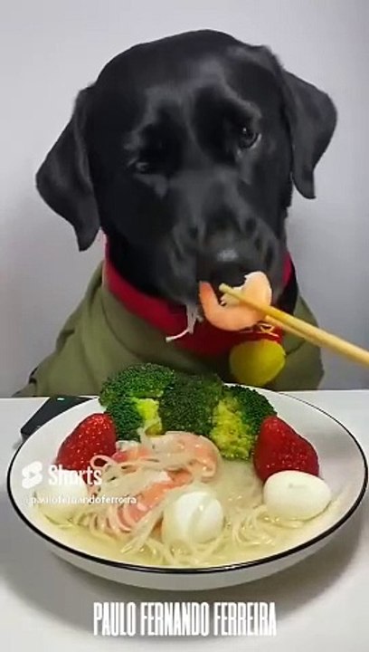 Ate All