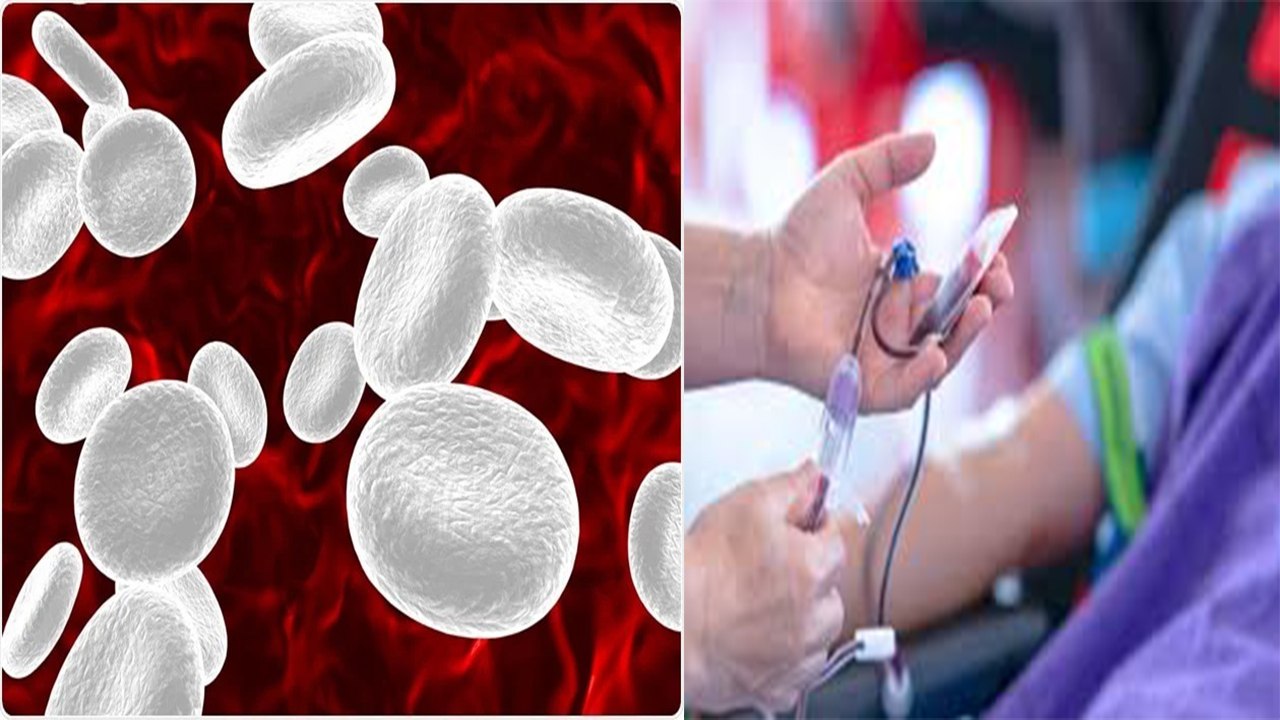TLC Increase In Blood WBC Jyada Hone Se Kya Hota Hai, Causes
