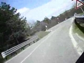 bocca serriola col tiger