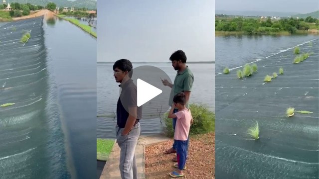 जयपुर में हुई मूसलाधार बारिश से लबालब हुआ कानोता बांध, करीब 6 इंच चली चादर