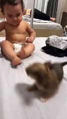 Baby Vedio,funny Vedio