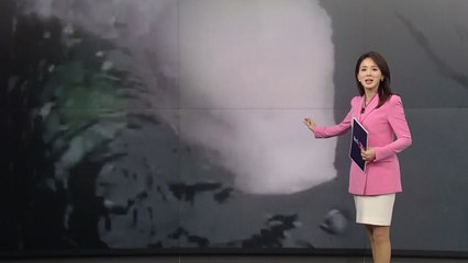 '러시아 스파이' 의심받던 벨루가 결국... [앵커리포트] / YTN