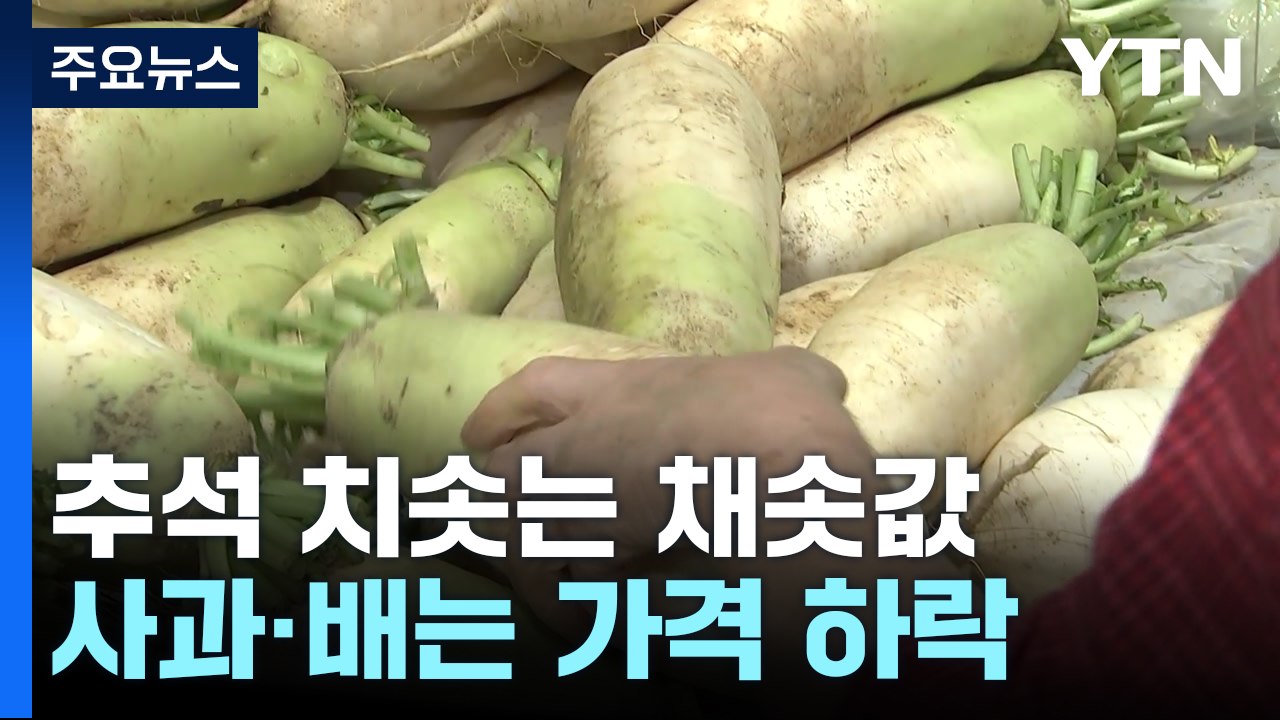 추석 코앞인데 채솟값 고공행진...깊어지는 한숨 / YTN