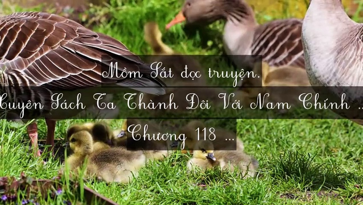 C118-C127 Xuyên Sách Ta Thành Đôi Với Nam Chính Phản Diện