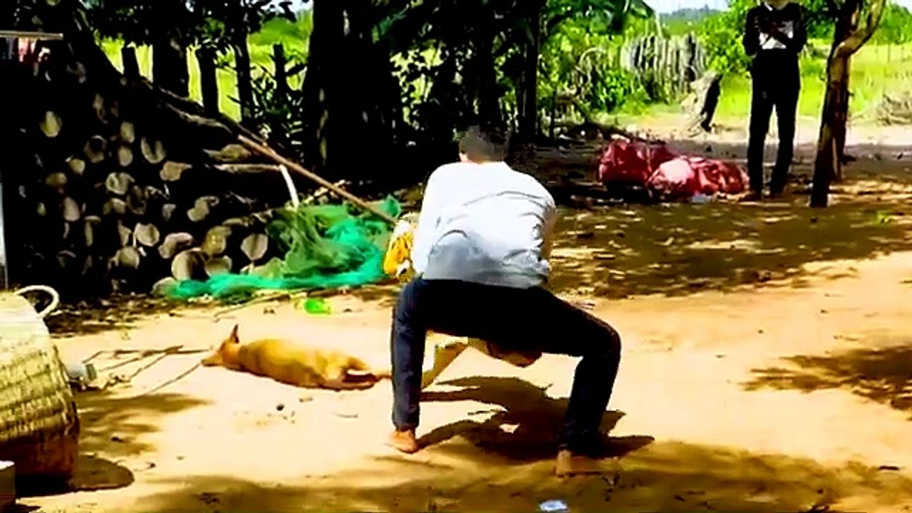 Fun