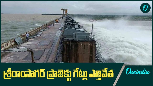 Telangana Floods శ్రీరాంసాగర్ ప్రాజెక్టు గేట్లు ఎత్తివేత.. పూర్తి వివరాలు | Oneindia Telugu