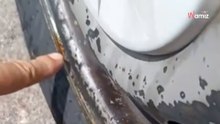 Vecino pasea a su perro por su calle: cuando ve las llantas de su coche, entra en cólera