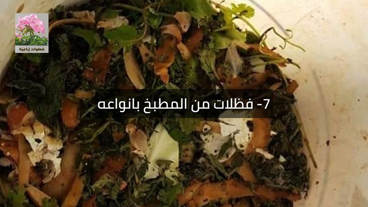 عمل كمبوست عالي الجودة من بقايا المطبخ - Make high-quality compost from kitchen remnants