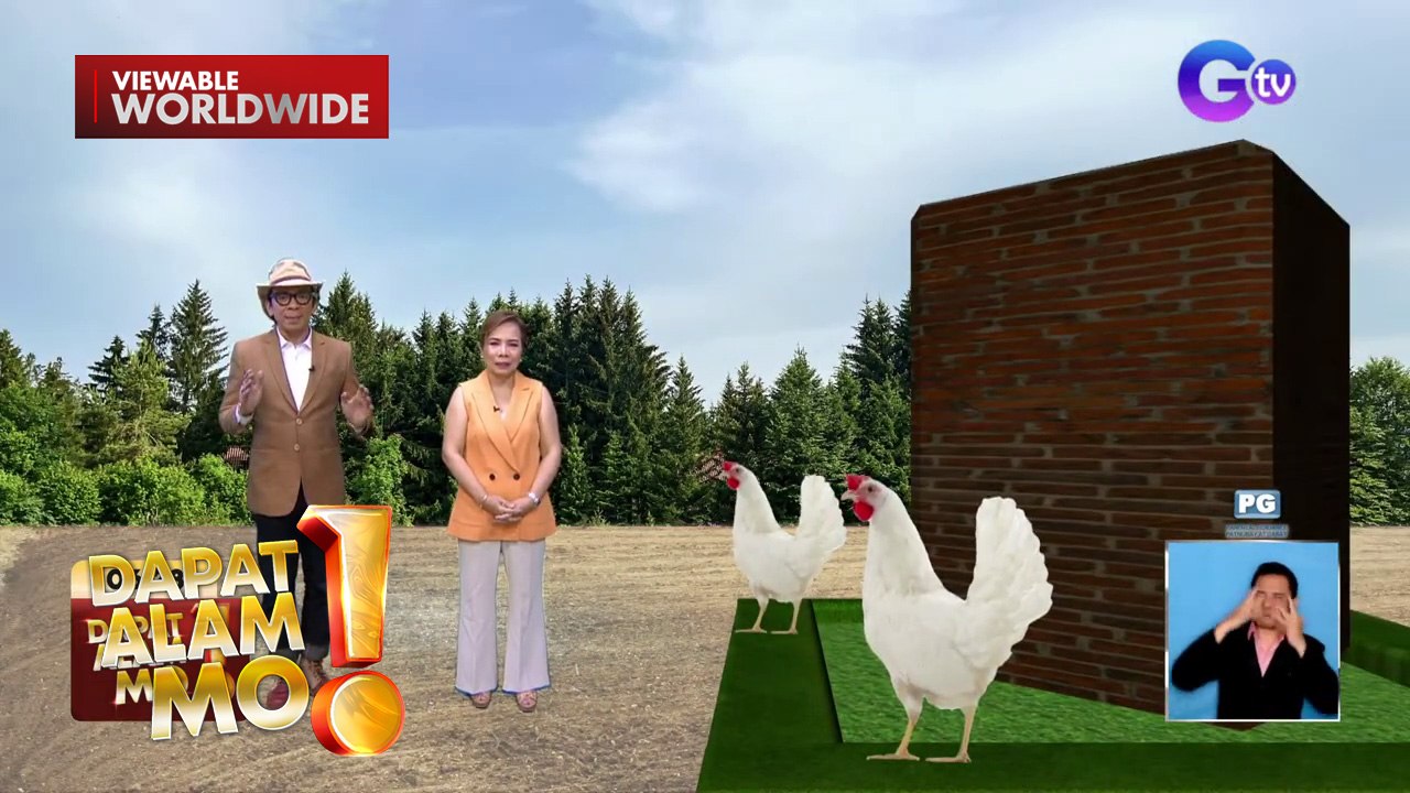 Pagpapaulan ng dumi ng manok, ginawang parusa sa isang kulungan?! | Dapat Alam Mo!