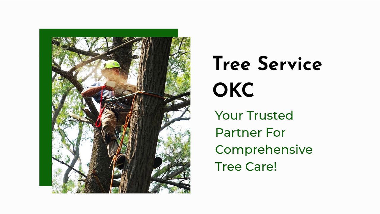 Tree Service OKC