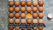 Rising Demand for Eco-Friendly Fiber Packaging Drives Growth in the Egg Packaging Market