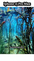 iPhone 15 ProMax photography in water  OMG what a result
