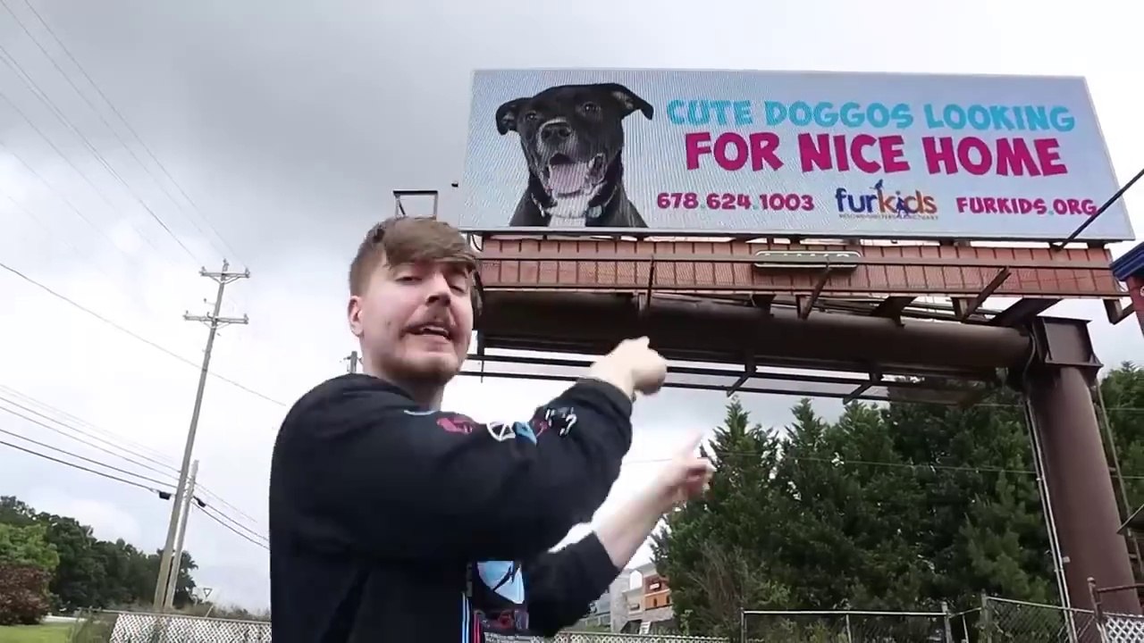 Mrbeast Adopted EVERY Dog In A Dog Shelter