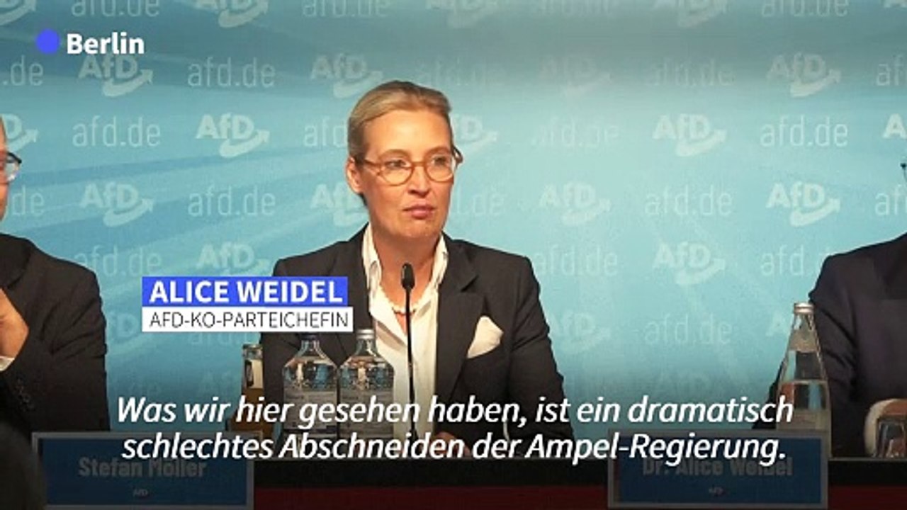 Weidel beharrt auf AfD-Regierungsanspruch in Sachsen und Thüringen