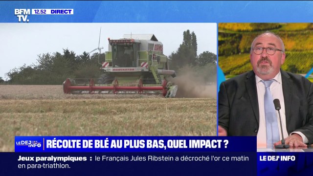 Blé: la France enregistre sa plus mauvaise récolte en 40 ans, quel impact pour les consommateurs et les producteurs?