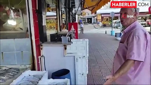 Av yasağı bitti, tezgahlar palamutla doldu