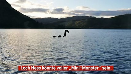 Forschungen am Loch Ness decken „Mini-Monster“ im Wasser auf