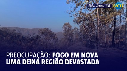 Queimadas em Nova Lima: veja os estragos