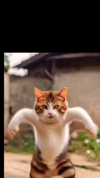 #Dancing #Kitty #Grooves #to #Catchy #Tune - Too Cute to Handle!