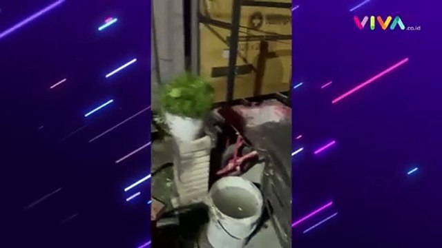DUAR! Video Rumah Cagub Partai NasDem Dilempari Bom