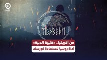 من أفريقيا.. «كتيبة الدببة» أداة روسيا لاستعادة كورسك