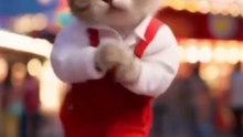 So funny cat videos  #cat  #catlover #funnycat #shortvideo #shortsfeed #shorts #shortsvideo