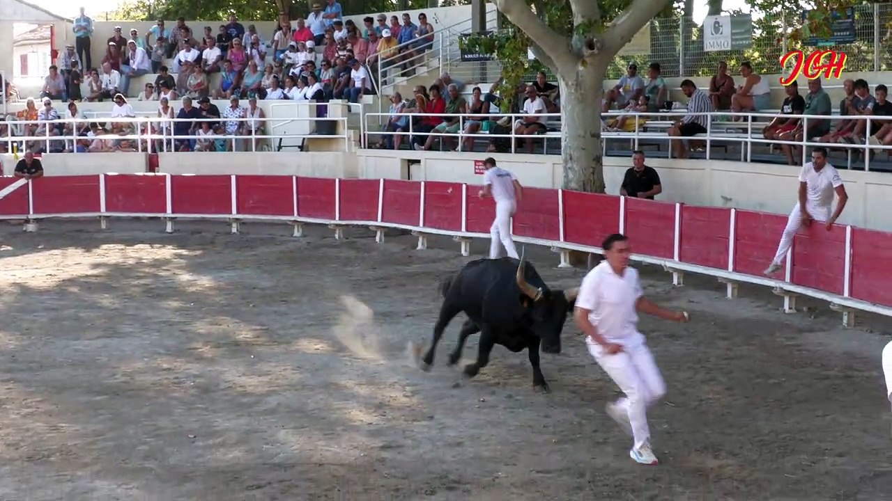 31 Août 2024 CTPR de FOURQUES course Avenir
