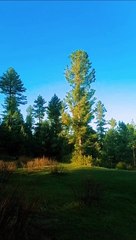 Tranquil Heights: Thandiani Top