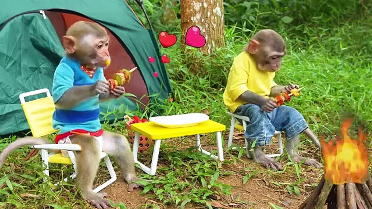 Monkey_Baby_Bon_Bon______