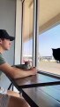 American Vlog about The great video about latest research on love cats