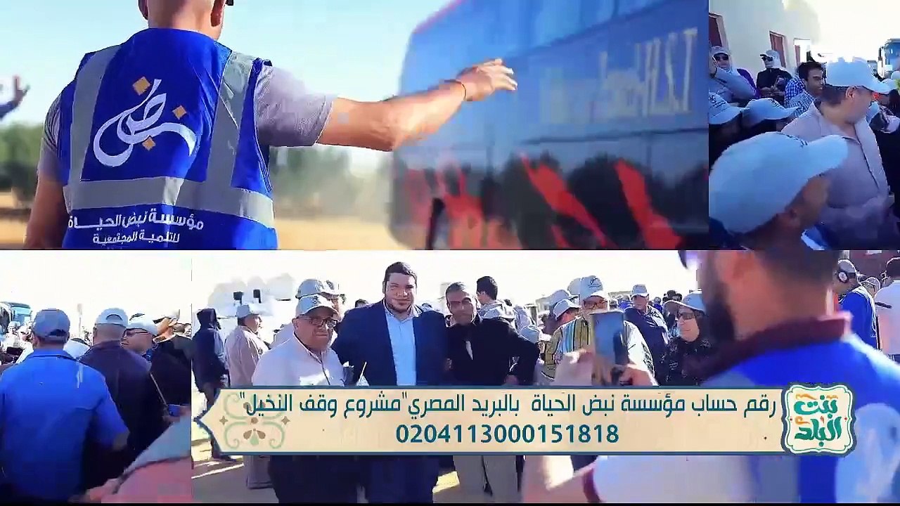 المعلومات الصحيحة حول الاحتفال بالمولد النبوي .. وأبرز جهود مؤسسة نبض الحياة | بنت البلد
