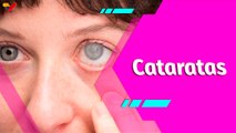 Buena Vibra | Mitos y realidades sobre las cataratas