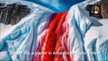 Blood Falls: Antarctica's 