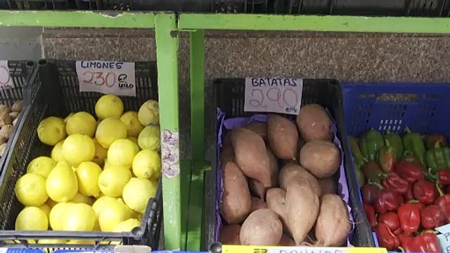 Los psicólogos recomiendan una vuelta a la rutina paulatina