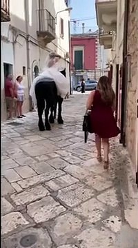 Casamassima, la sposa arriva in chiesa a cavallo. «L'equitazione è una passione che ho da bambina»