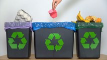 Is recycling worth all the effort?