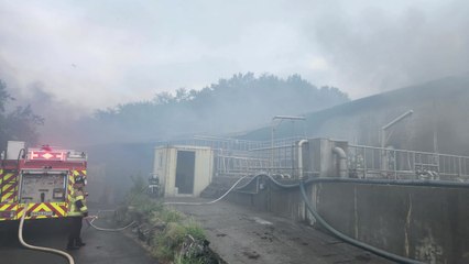 충남 홍성 가축 분뇨 처리 시설 불...3명 화상 / YTN