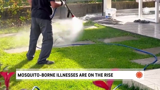 How to protect yourself from mosquito-borne illnesses