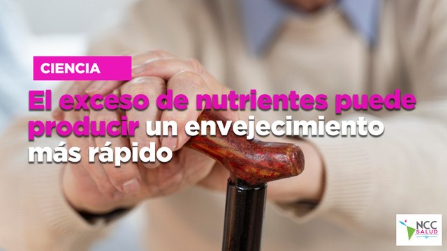 El exceso de nutrientes puede producir un envejecimiento más rápido
