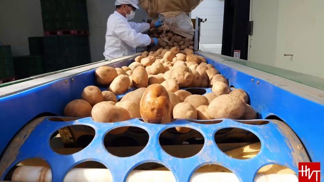 Fast food- French fries production process in the factory - Food around you #fast_food #french_fries