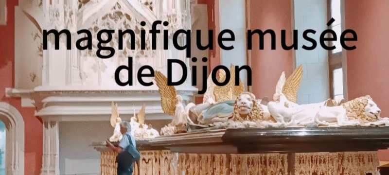 @Dijontourisme, le très magnifique musée Palais des ducs et des États de Bourgogne