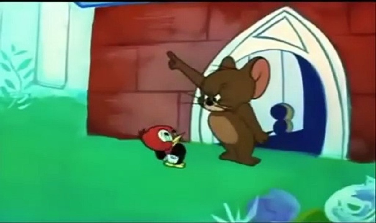 Tom and Jerry - The Egg and Jerry Cartoon