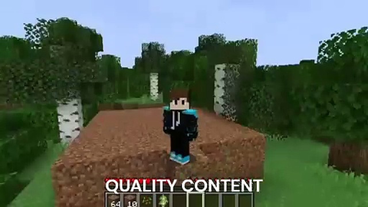 The Minecraft New House.