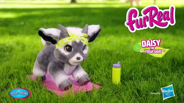 Cartoon Network USA Commercial breaks August, 30 2024